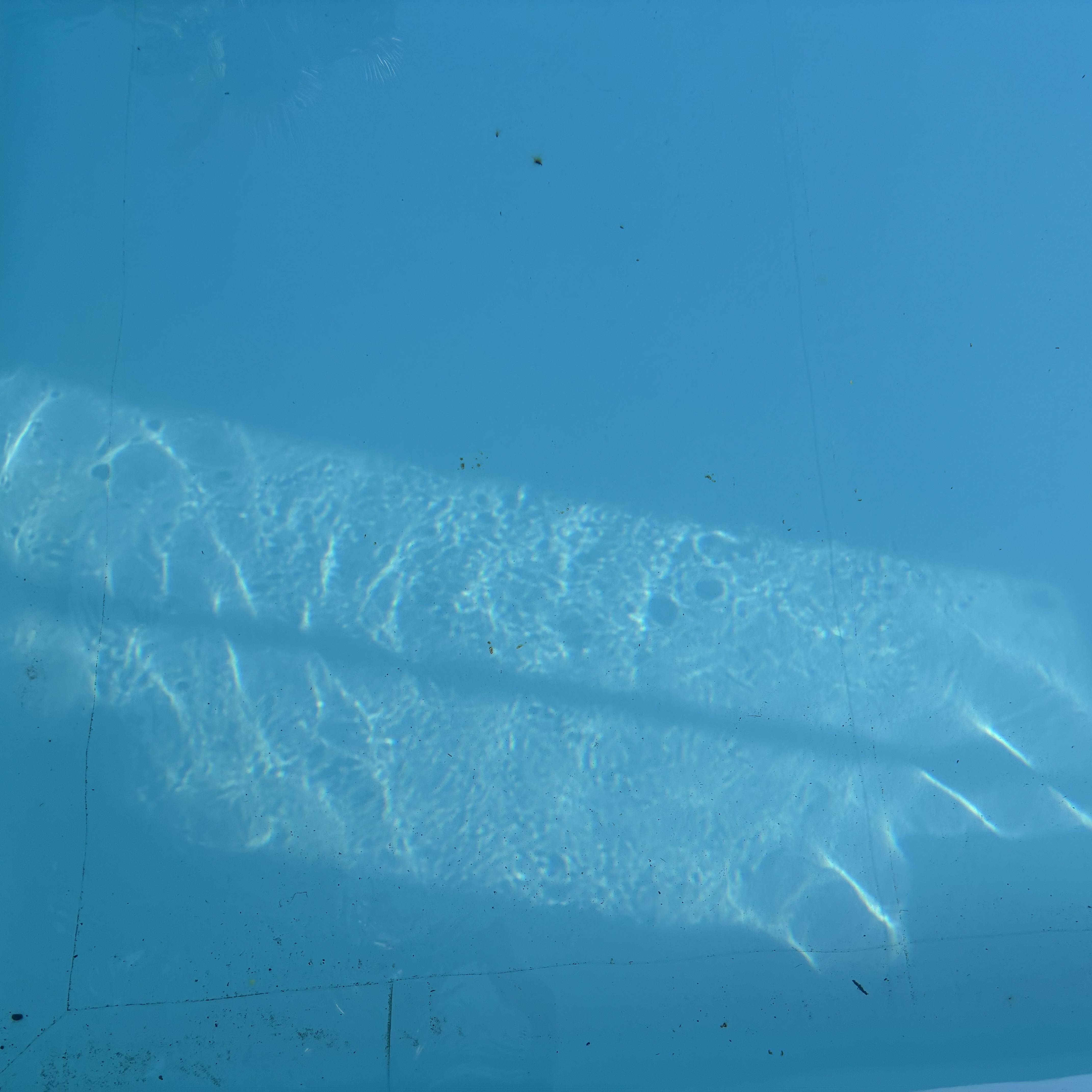 Pool photograph