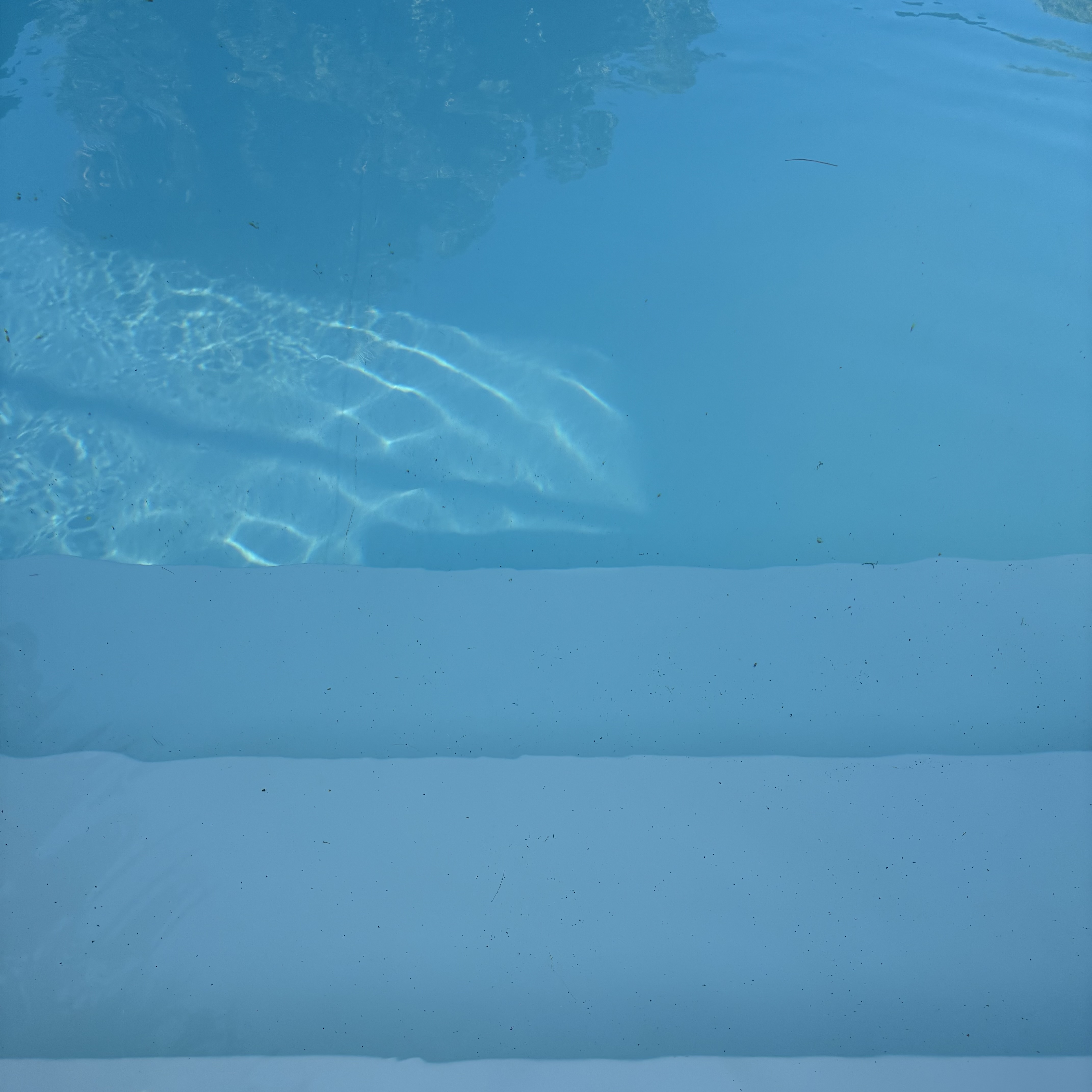 Pool photograph